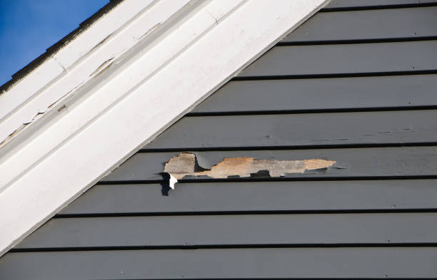 Best Same-Day Junk Removal Services  in Ironton, OH
